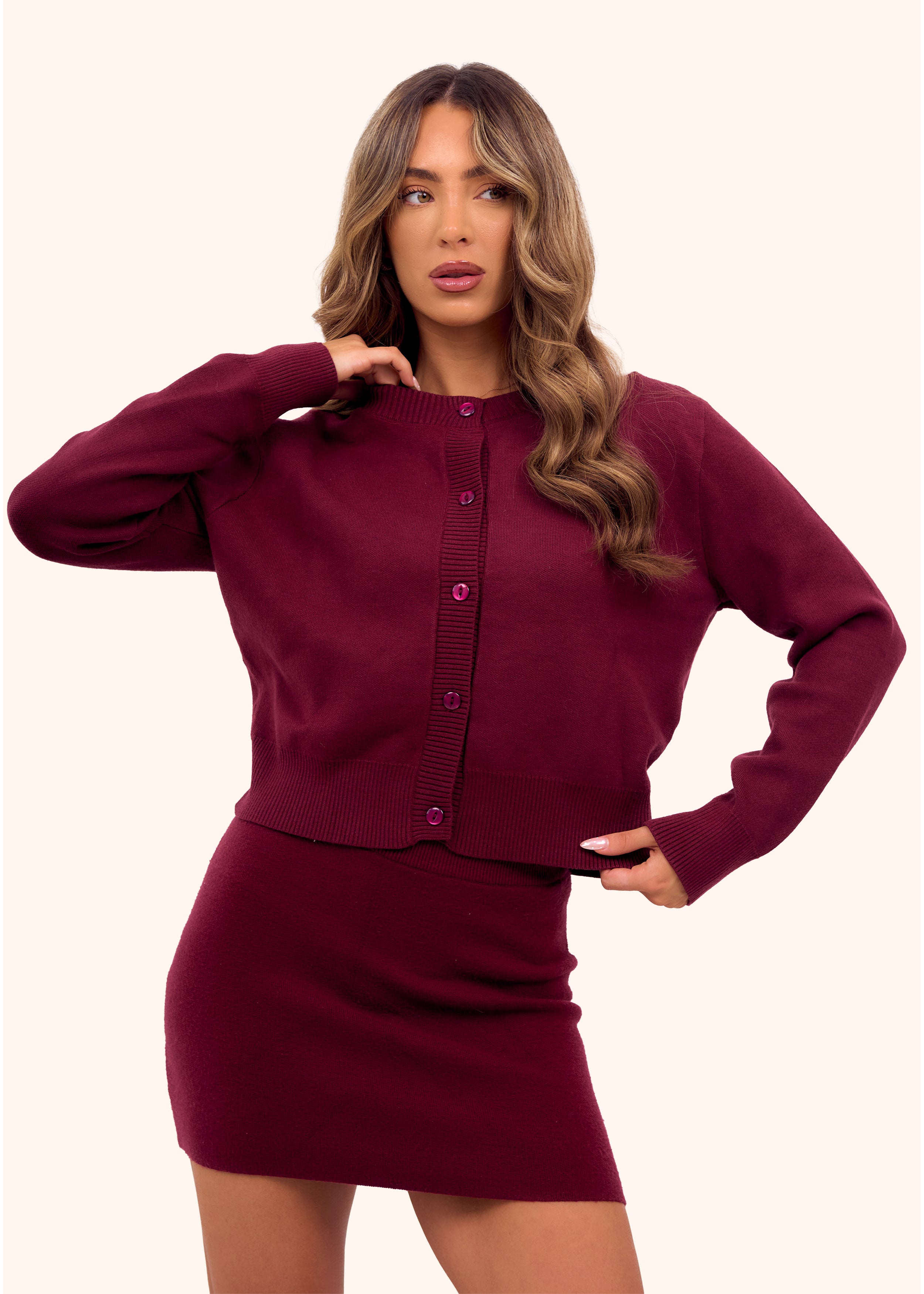 Knit Mini Skirt in Burgundy