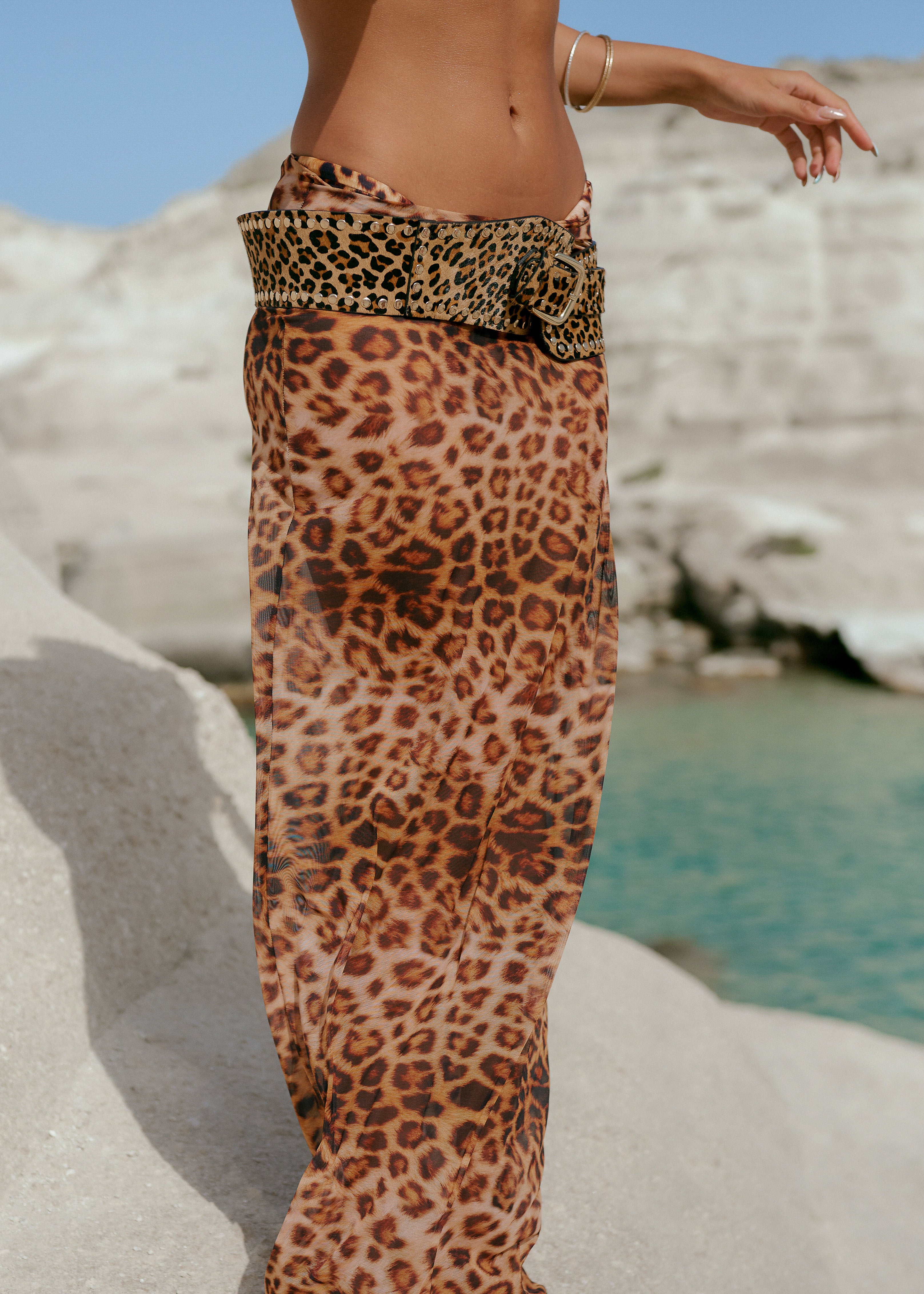 Mesh Maxi Skirt in Leopard