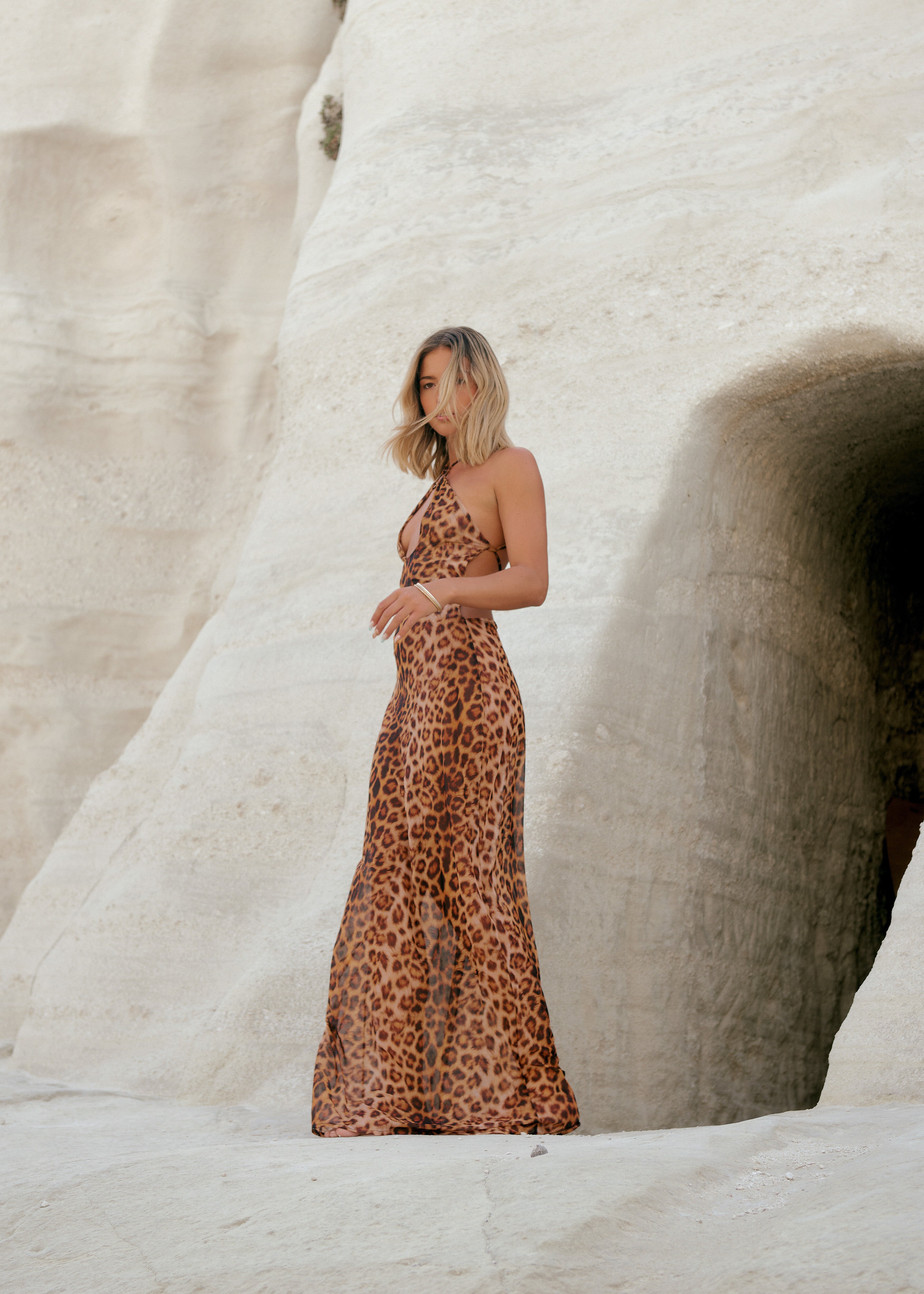 Ring Mesh Maxi Dress in Leopard