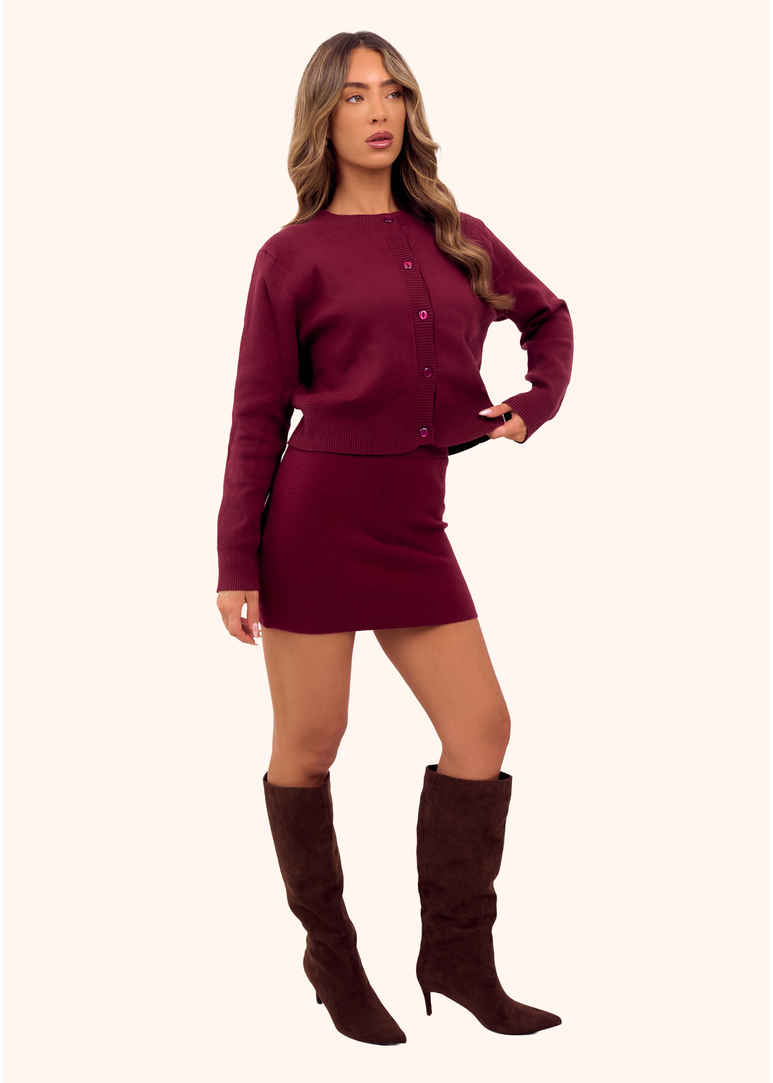 Knit Mini Skirt in Burgundy