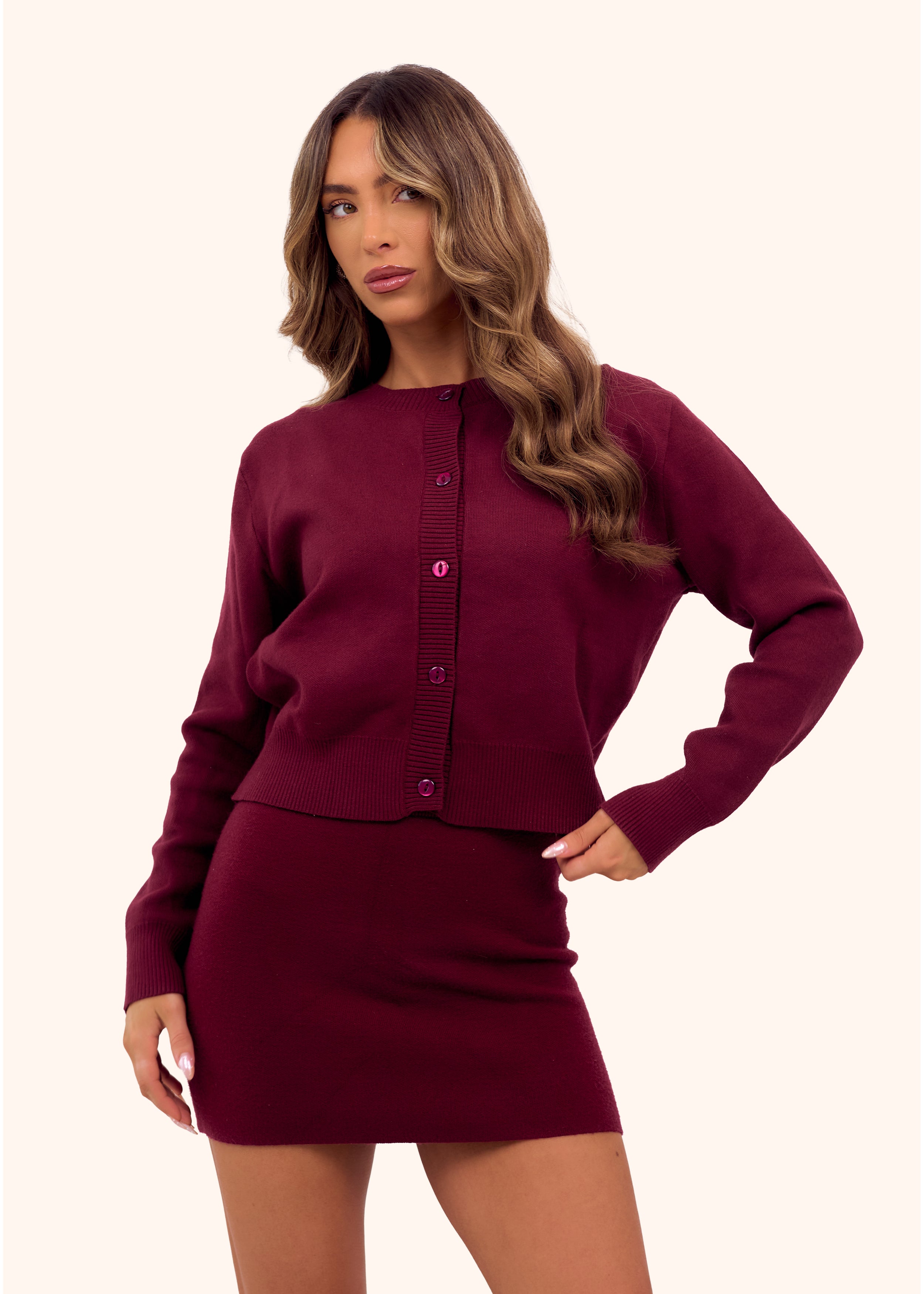 Knit Mini Skirt in Burgundy